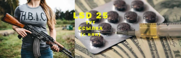 дживик Верхний Тагил