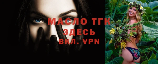 дживик Верхний Тагил