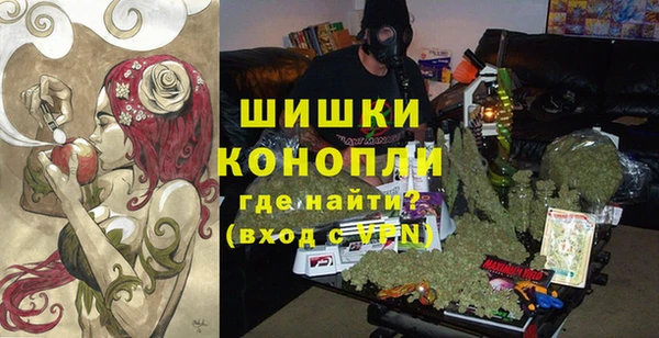 дживик Верхний Тагил
