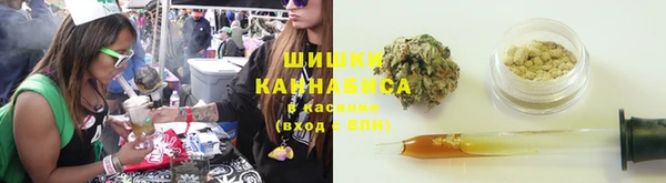 дживик Верхний Тагил
